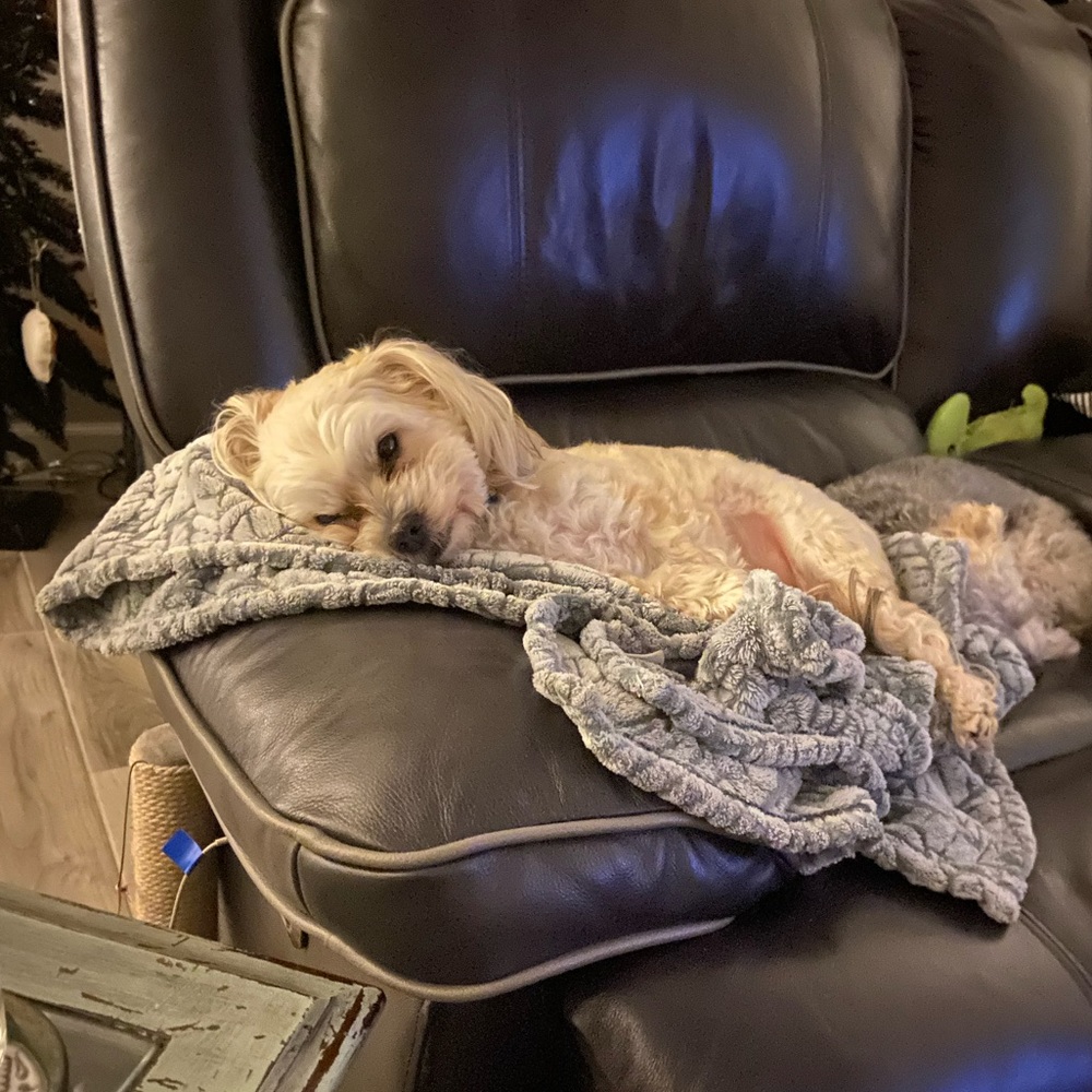 Meet your Posher, Michelle